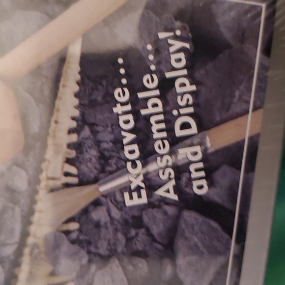 Dig & Discover Dinosaur King Tyrannosaurus Dig and Assembly Kit - Brand New - Picture 6 of 8